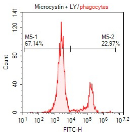 Flow cytometry histogram, microcystin effect, phagocytes, FITC-H, data analysis, % population.