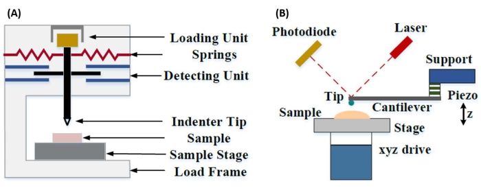 figure-introduction-1 figure-introduction-1