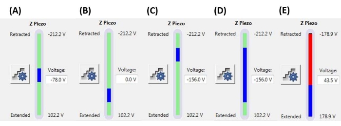 figure-protocol-5