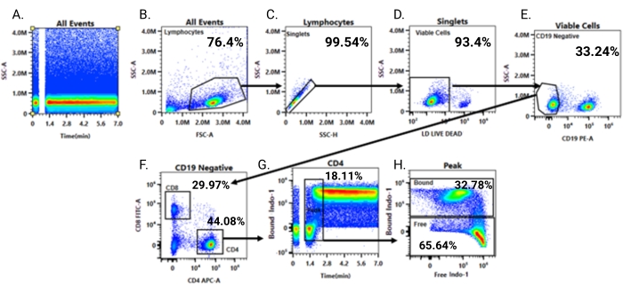 figure-results-4 Flow cytometry data analysis; scatter plots showing cell viability and CD19/CD4 expression levels.