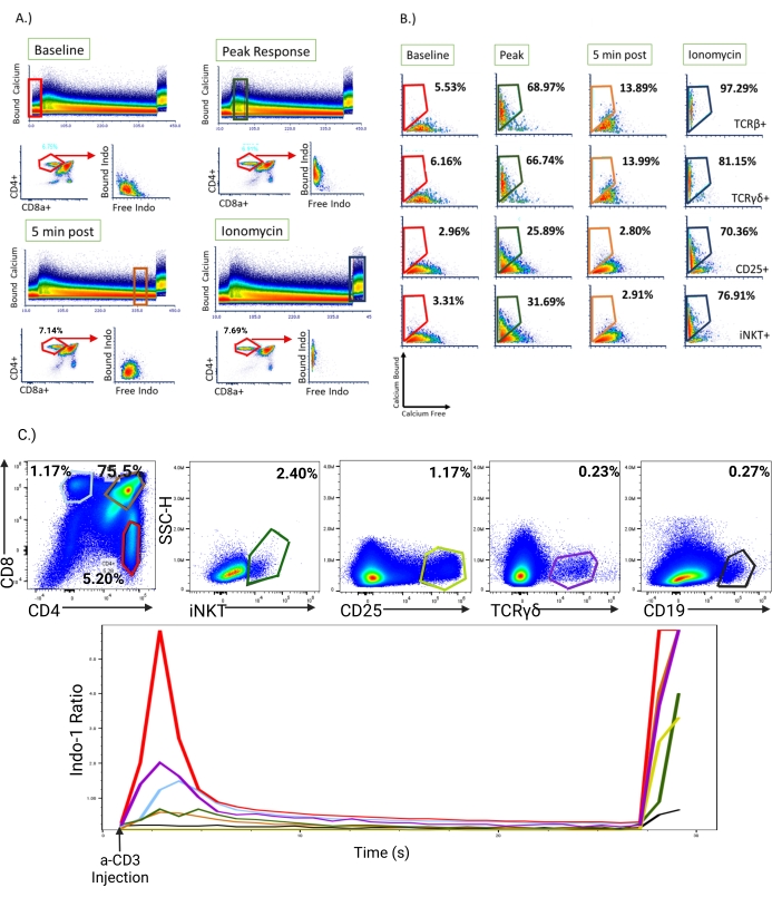 figure-results-5 Calcium flux analysis, flow cytometry results of CD4+, CD8+ T cells, Indo-1 calcium indicator.