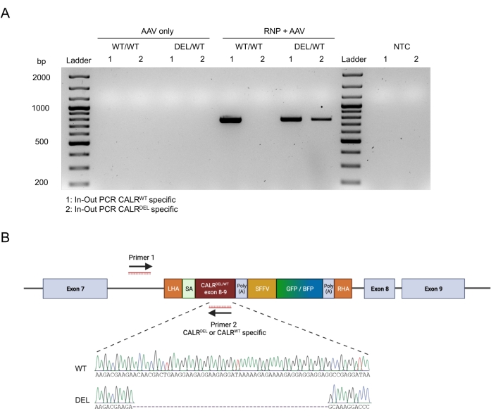 figure-results-2