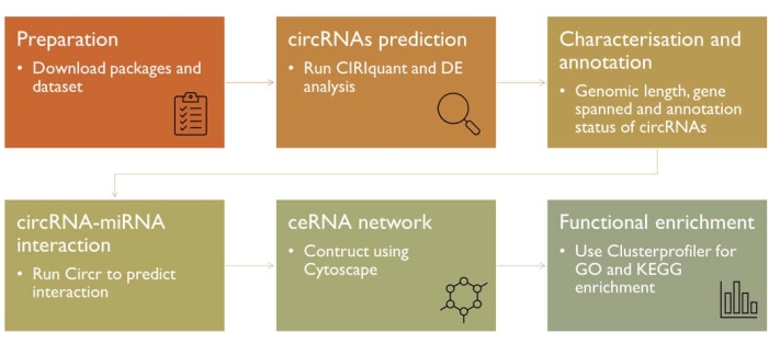 In Silico Identification and Characterization of circRNAs During Host ...
