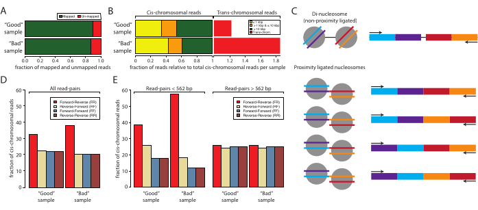 figure-results-2 Hi-C sequencing analysis, graph-comparison, nucleosome-ligation, data interpretation, cis/trans-chromosomal.