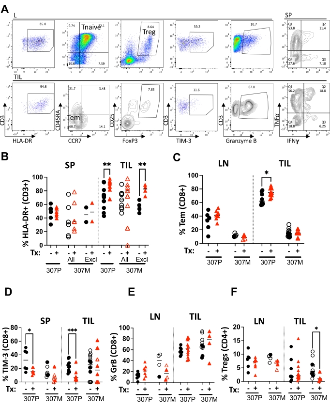 Flow cytometry analysis with immune phenotype scatter plots and bar charts; CD8+, CD4+, Treg, Tem.