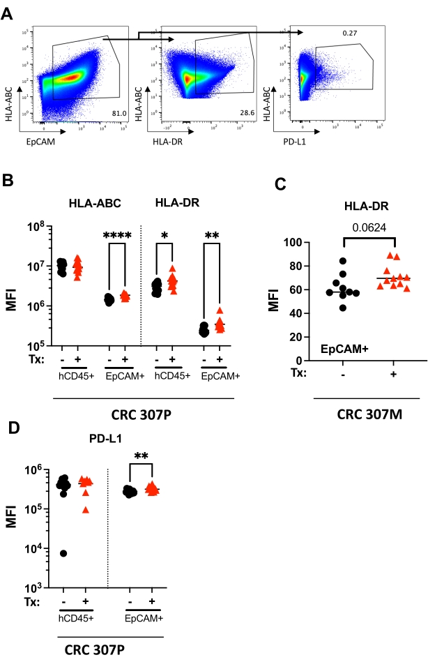 Flow cytometry analysis, EpCAM, HLA-ABC, HLA-DR, PD-L1, dot plots, and MFI results for protein markers.