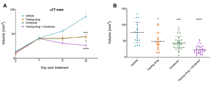 μCT scan results; tumor volume line and scatter plot analysis; drug efficacy comparison; pre-clinical.