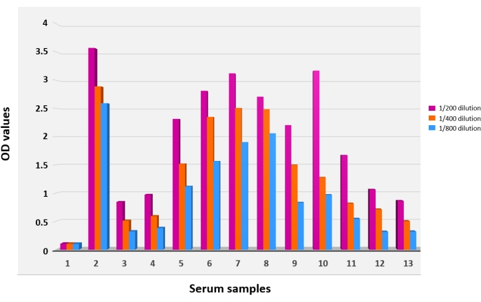 figure-results-4 Serum sample OD values bar chart; dilutions 1/200, 1/400, 1/800; comparative analysis.