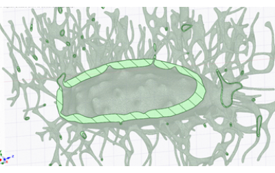 Cell membrane structure, diagram, illustrating lipid bilayer arrangement in cellular biophysics study.