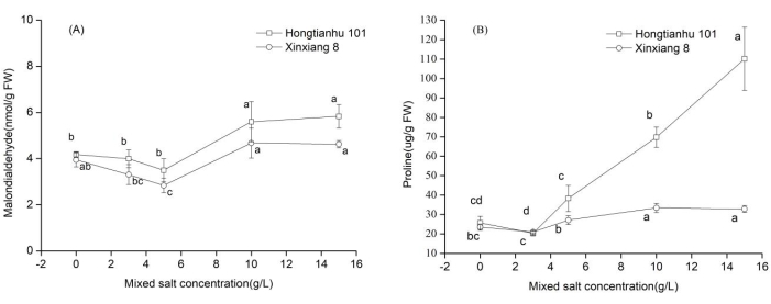 Malondialdehyde and proline levels in mixed salt concentrations; comparative analysis graph.