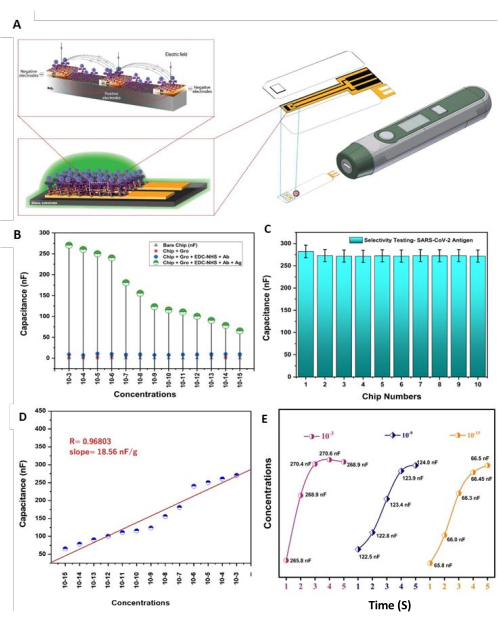 figure-results-5 Capacitance sensor diagram and graphs illustrating SARS-CoV-2 antigen detection and analysis results.