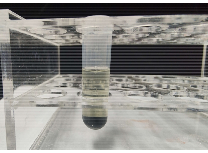Centrifugation process, tube in apparatus, density separation experiment setup.