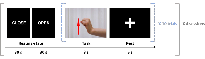figure-protocol-2 Brain activity experiment diagram; hand motion task; 10 trials, 4 sessions; resting-state analysis.