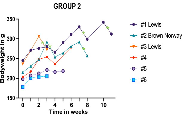 Bodyweight growth chart, group 2, over 12 weeks, comparing different subjects, line graph analysis.