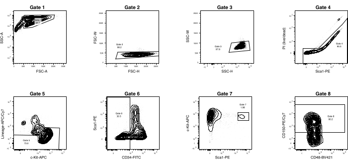 figure-results-1 Flow cytometry gating diagram; eight panels, FSC/SSC, Sca1, CD34, APC markers, cellular analysis.