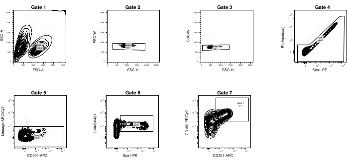 figure-results-2 Flow cytometry gating diagram with FSC, SSC, and CD markers for cell population analysis.