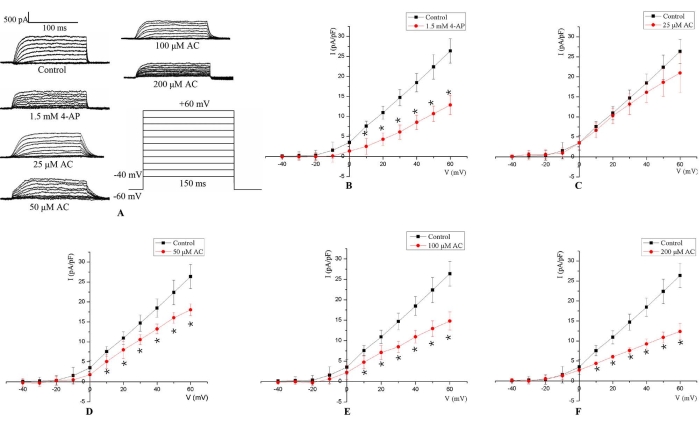 Electrophysiology diagram; voltage clamp results with varying concentrations of AC and 4-AP.