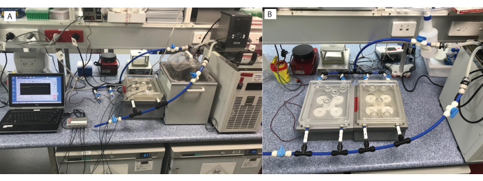 figure-results-2 Laboratory setup for chemical analysis using spectroscopy and chromatography systems with data equipment.