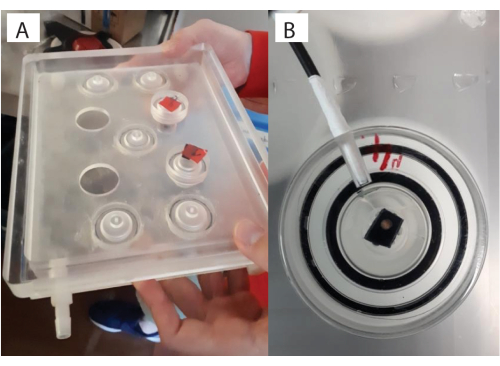 figure-results-5 Optical setup for emission analysis; experimental setup with spectroscopic photonic device.