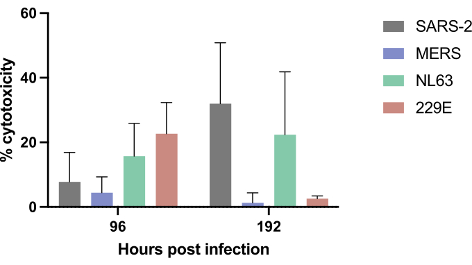 Cytotoxicity bar graph of SARS-2, MERS, NL63, 229E over time post infection, comparing viral impacts.