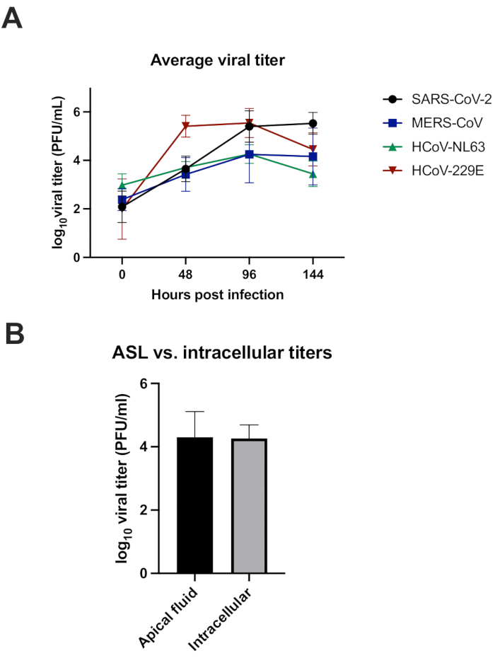 Viral infection analysis, line and bar graphs, PFU/mL titers, SARS-CoV-2, MERS-CoV comparison.