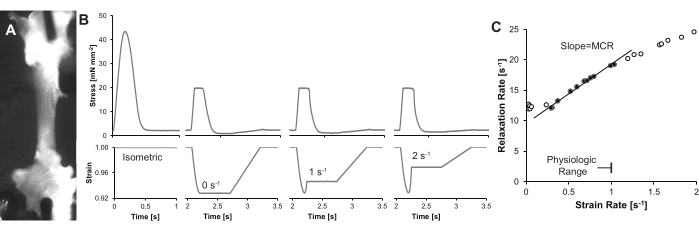 figure-results-4
