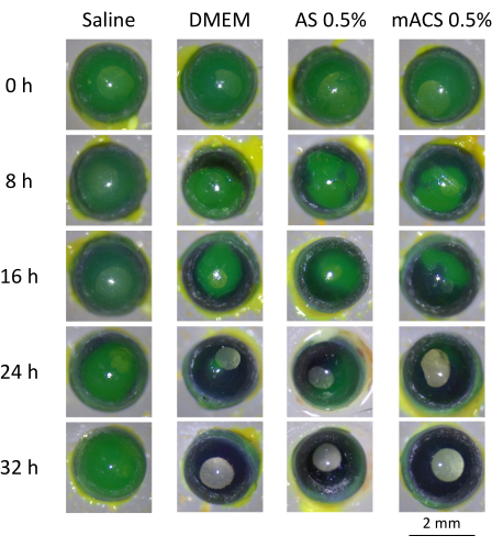 figure-results-4