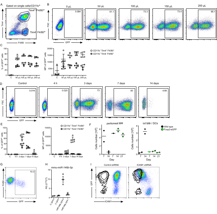 figure-results-3 Flow cytometry analysis of CD11b+ cells; GFP expression vs. FSC, shown in charts A-G with histograms.