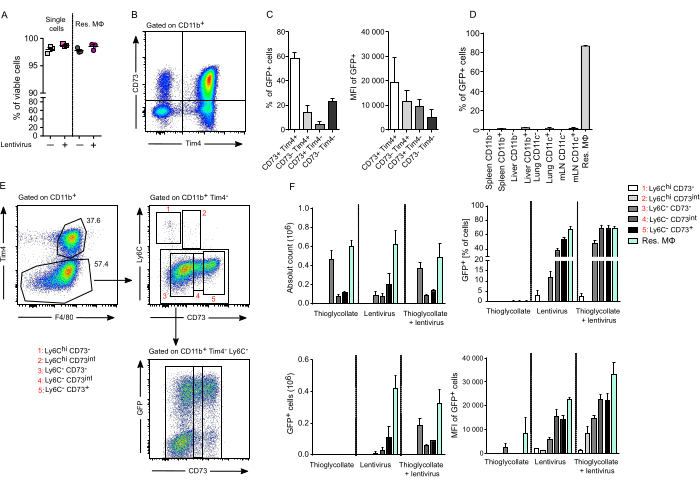 figure-results-4 Flow cytometry analysis of GFP+ cells, CD11b+ markers, and CD73 in immune responses; graphs included.