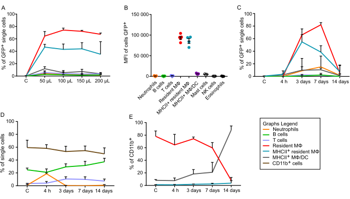 figure-results-5 Cellular response analysis, GFP+ cells, % MFI, flow cytometry graphs, data at multiple time points.