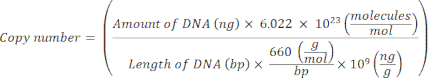 DNA copy number calculation formula; equation for molecular biology research and analysis.