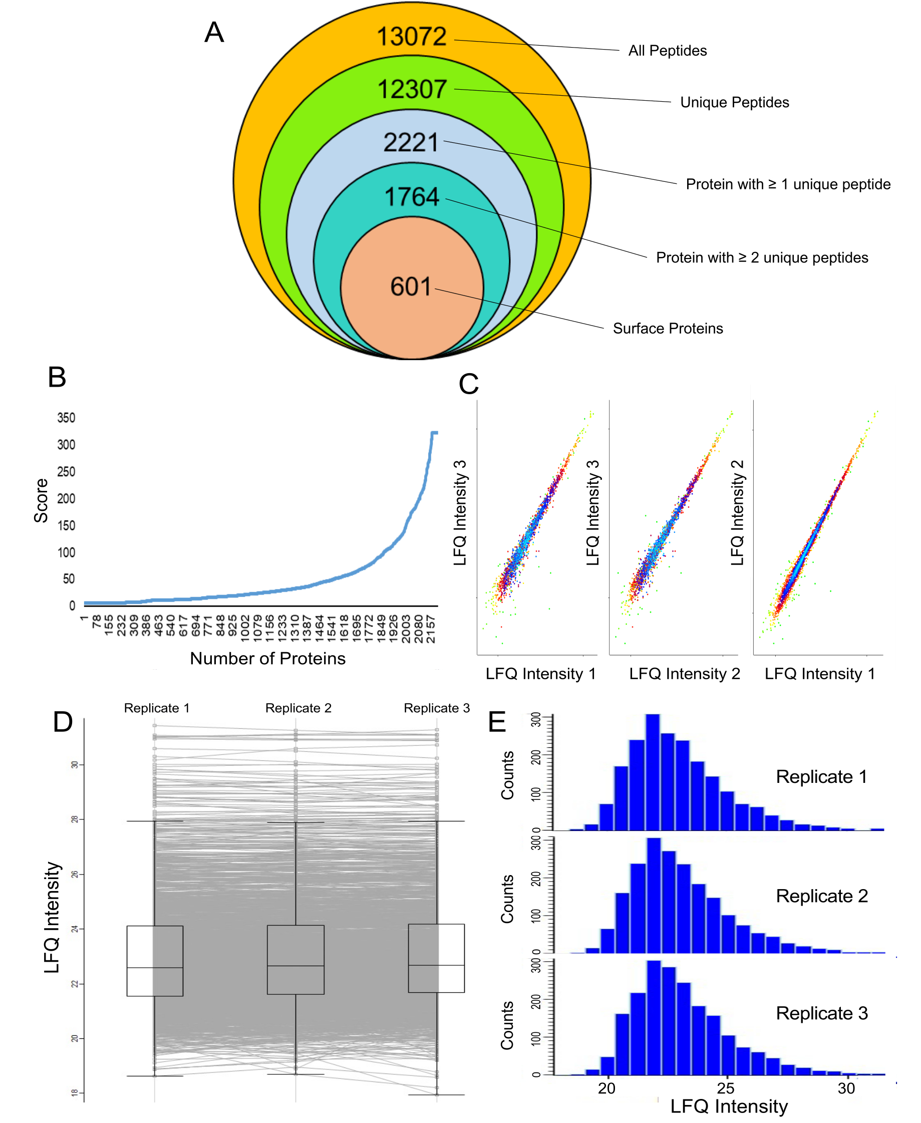 "Cell Surface Capture" Workflow for Label-Free Quantification of the ...