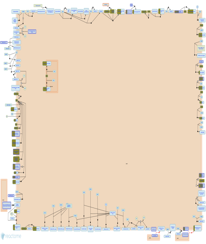 "Cell Surface Capture" Workflow for Label-Free Quantification of the ...