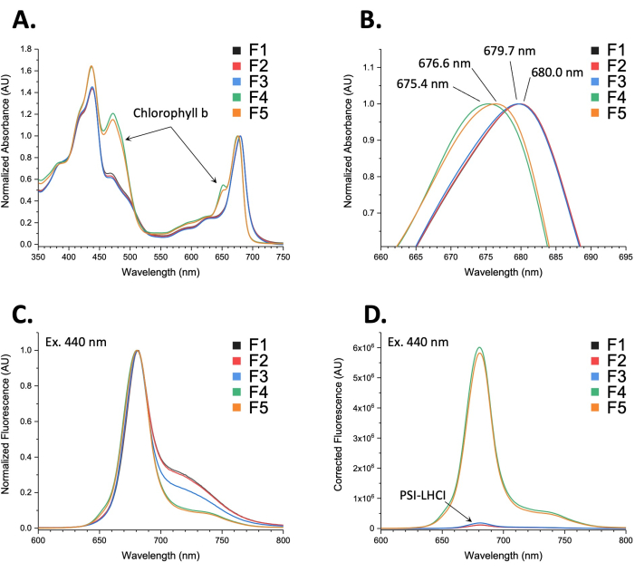 figure-results-3 Absorption and fluorescence spectra graphs; chlorophyll b; PSI-LHCI; optical analysis results.