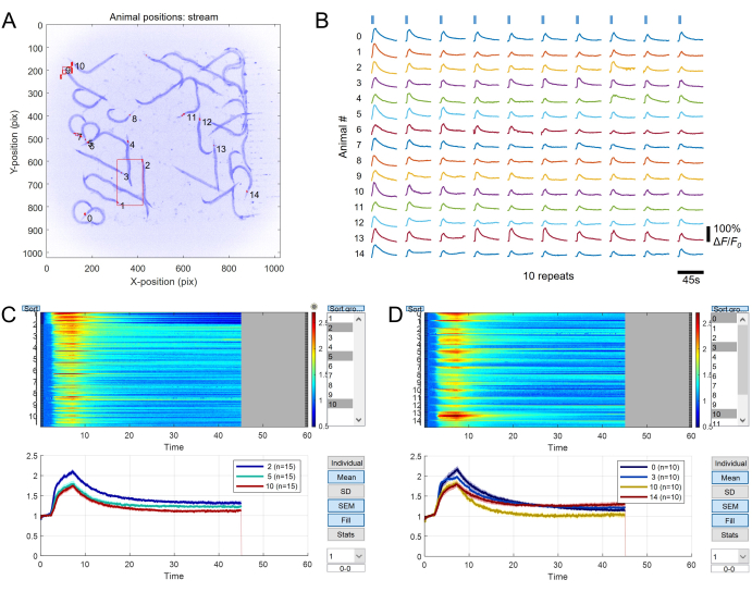 Animal position tracking and fluorescence data; diagrams A-D show movement paths and calcium signals.