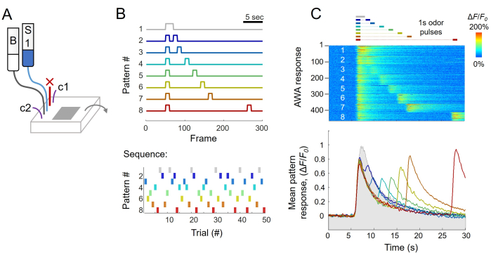 Odor stimulation setup; time-series data analysis; mean pattern response; experimental diagram.