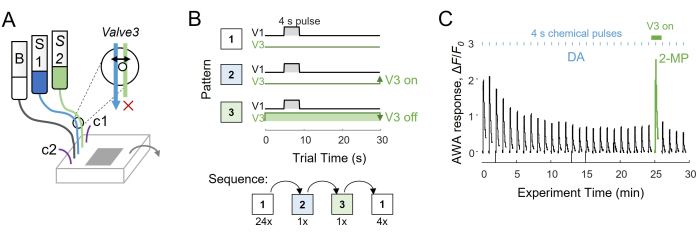 Chemotaxis setup and graph; valve operation patterns, experiment sequence, AWA response analysis.