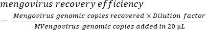 Mengovirus recovery efficiency equation; genomic copies calculation formula; virology experiment.