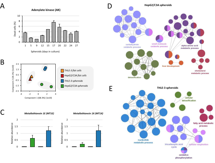 figure-results-4 Adenylate kinase chart, PCA plot, metallothionein bar graphs, and metabolic process networks.