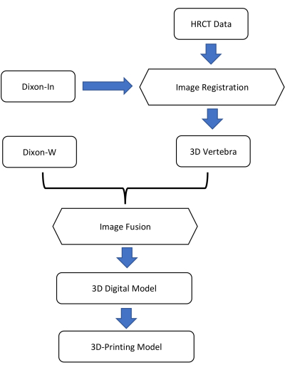 figure-protocol-1 3D vertebra model process flowchart; image fusion, HRCT data to 3D-printing model.