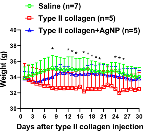 Weight comparison graph of mice post type II collagen injection; saline, collagen, collagen+AgNP groups.