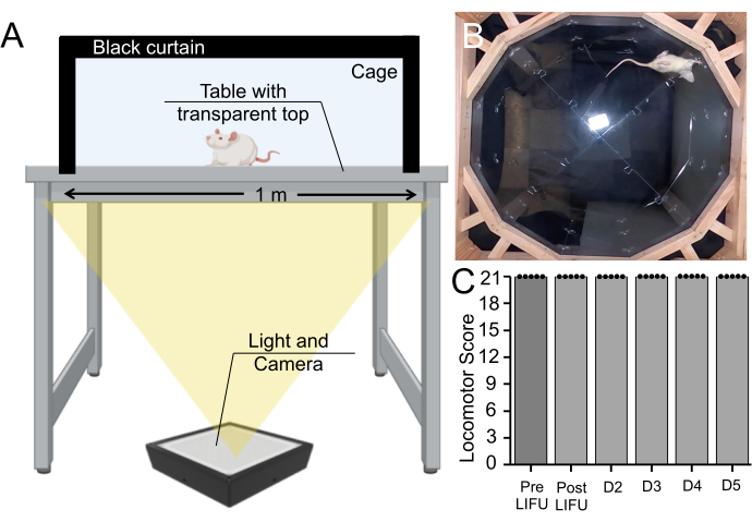 figure-results-7 Mouse locomotion analysis; (A) experimental setup diagram with camera, cage; (B) top view; (C) graph.