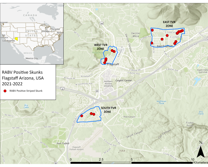 figure-results-2