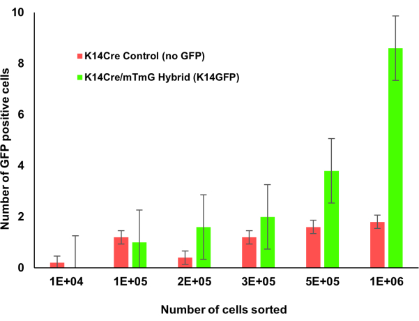 figure-results-1 Bar chart showing GFP-positive cell count; comparison of K14Cre control and K14Cre/mTmG samples.