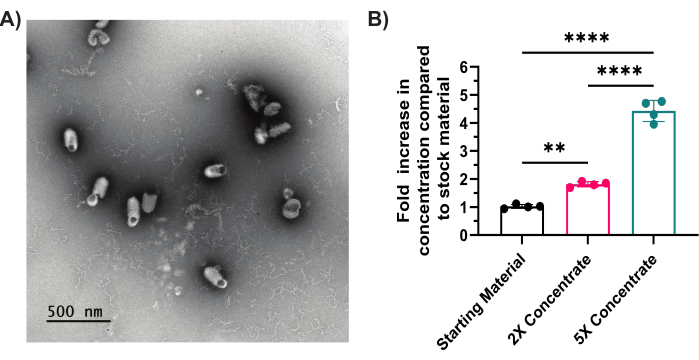 figure-results-2 Nanoparticle electron microscope image; concentration analysis bar graph comparison.