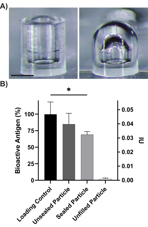 figure-results-3 Microscope image of polymer particles and bar graph showing bioactive antigen % in different particles.