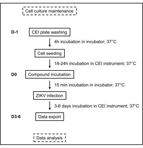 figure-results-1 Cell culture maintenance process diagram: CEI plate washing, seeding, ZIKV infection, data export.