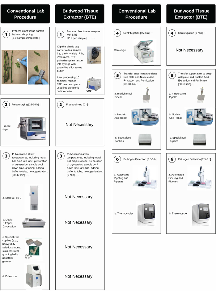 figure-introduction-2 Plant tissue processing workflow: diagram; comparison of conventional lab and BTE methods for DNA extraction.