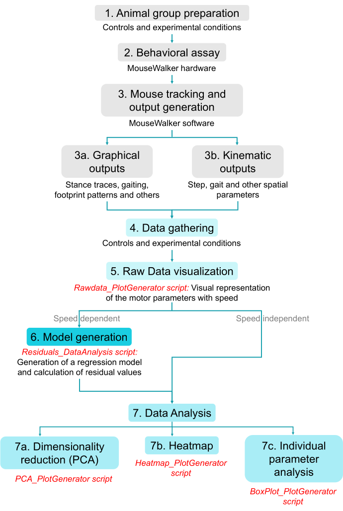 figure-results-1 Animal behavior analysis process; flowchart; MouseWalker tracking; data visualization, PCA outcomes.