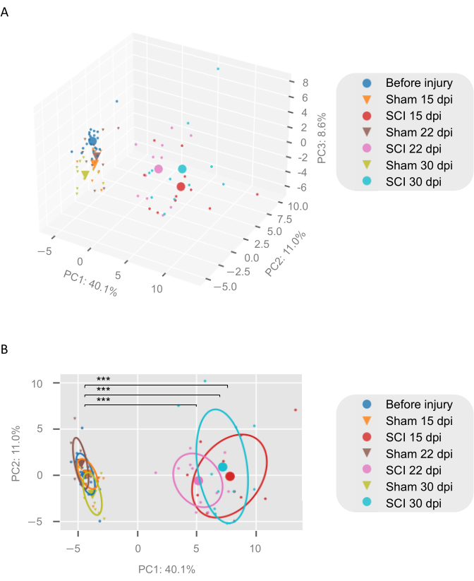 figure-results-3 Principal Component Analysis (PCA) chart comparing SCI and Sham over time, displaying variance patterns.